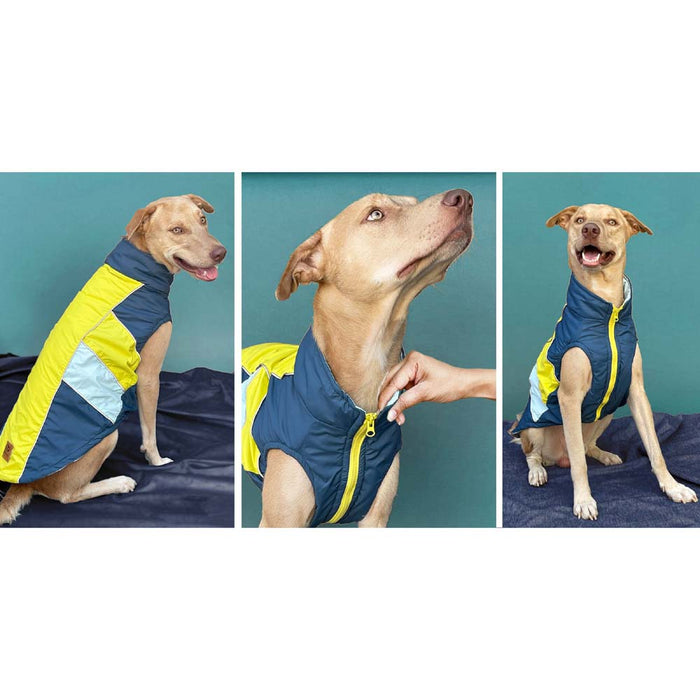 Pet's Way Winterberry Jacket - Airforce