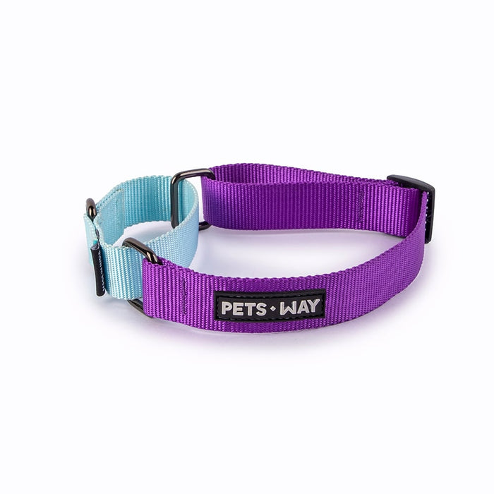 Pets Way Walk Essentials Martingale Collar - Amethyst & Sky