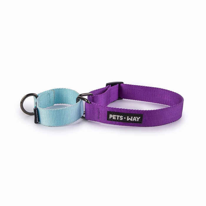 Pets Way Walk Essentials Martingale Collar - Amethyst & Sky