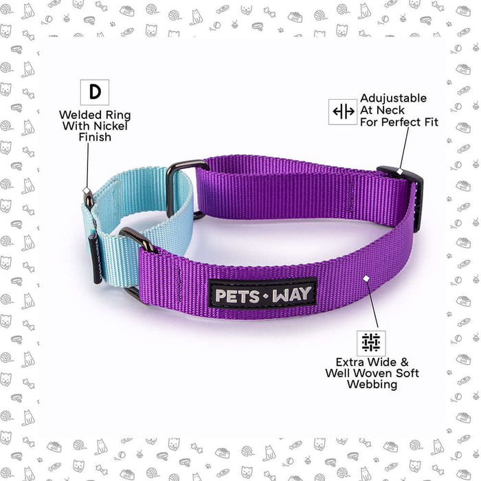 Pets Way Walk Essentials Martingale Collar - Amethyst & Sky