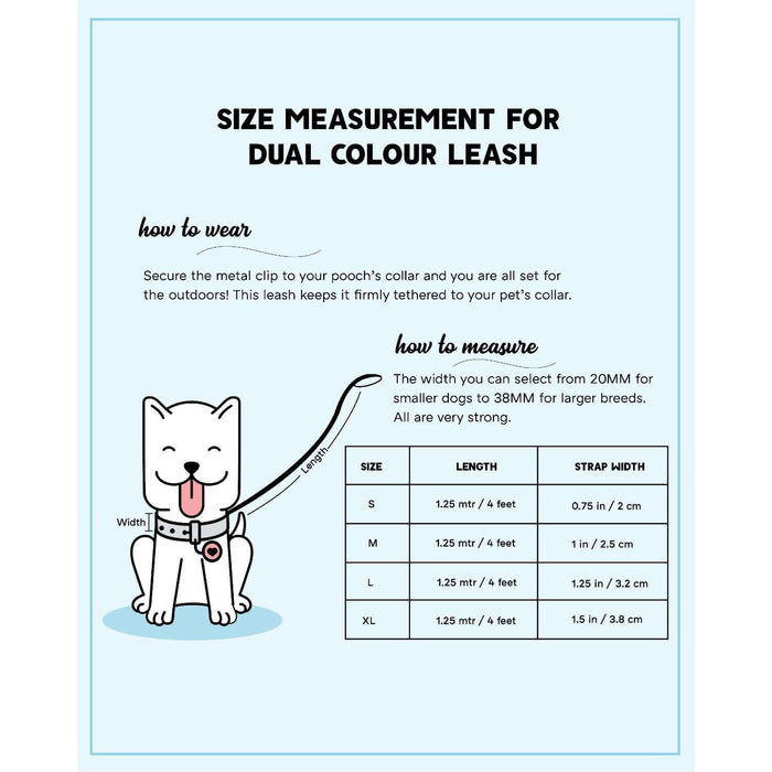 Pets Way Walk Essentials Dual Color Leash - Amethyst & Sky