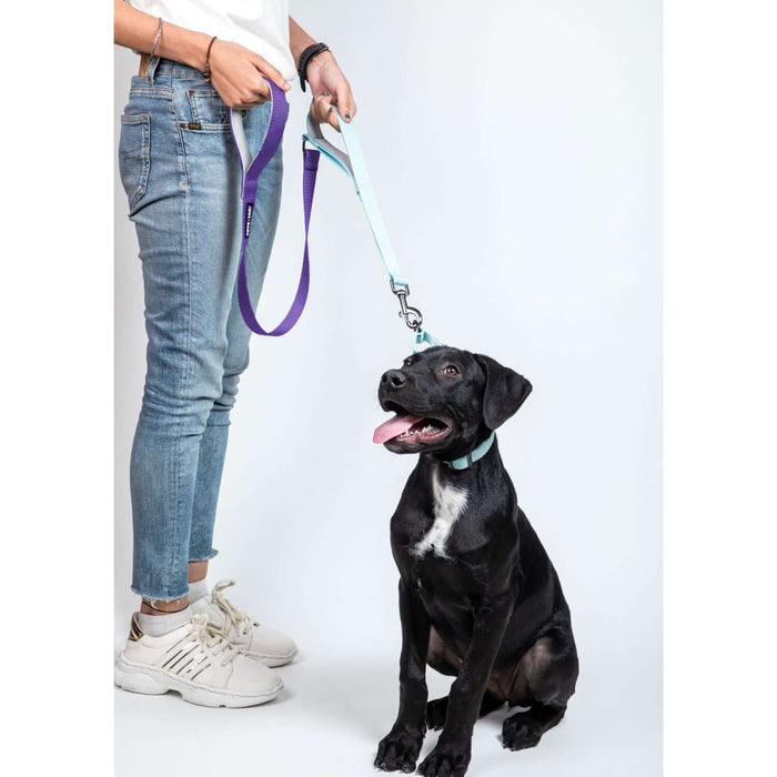 Pets Way Walk Essentials Dual Handle Leash - Amethyst & Sky