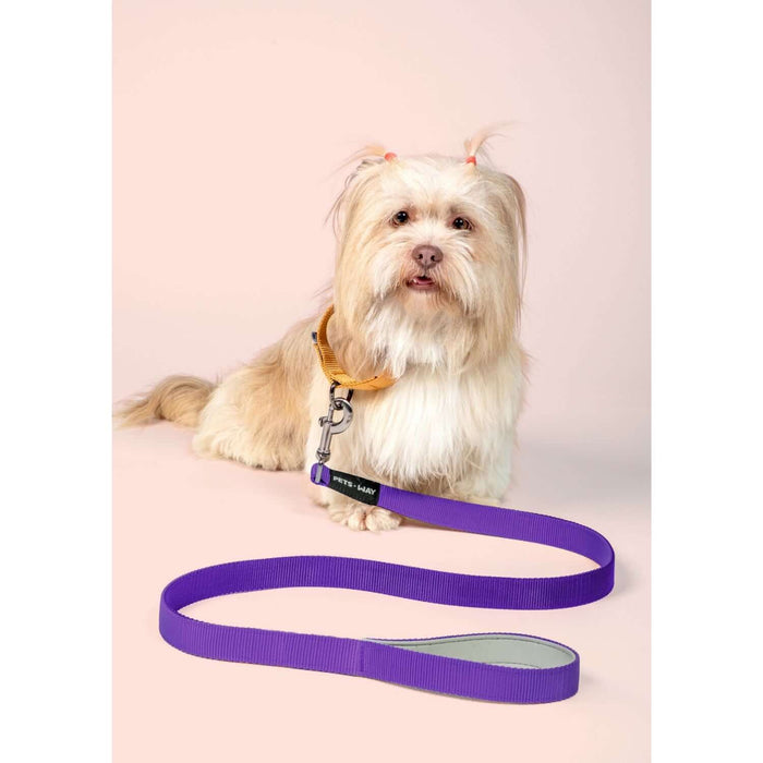 Pets Way Walk Essentials Solid Dog Leash - Amethyst