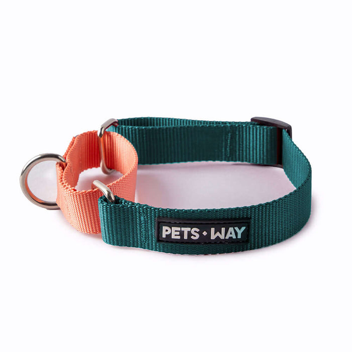 Pets Way Walk Essentials Martingale Collar - Emerald & Peach