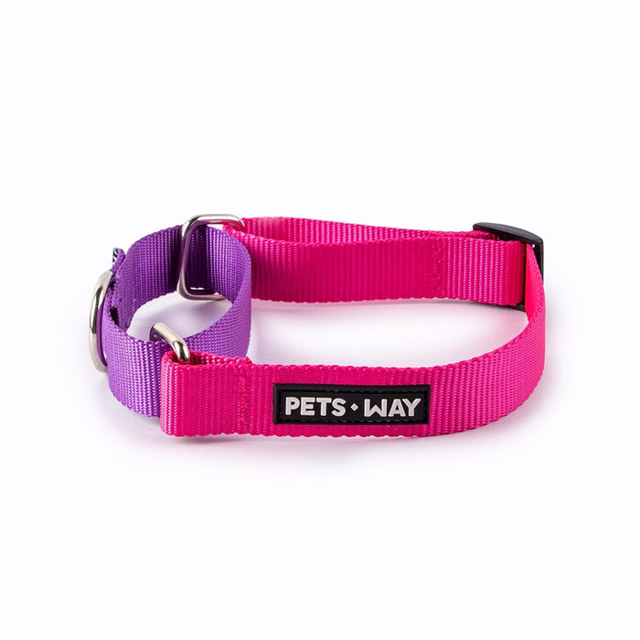 Pets Way Walk Essentials Martingale Collar - Fuschia & Amethyst