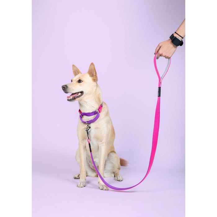 Pets Way Walk Essentials Dual Color Leash - Fuschia & Amethyst