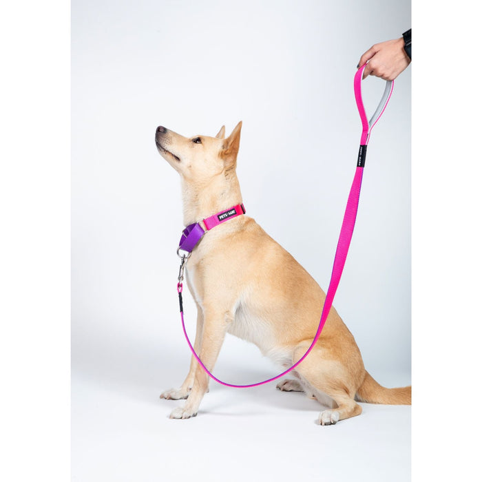 Pets Way Walk Essentials Dual Color Leash - Fuschia & Amethyst