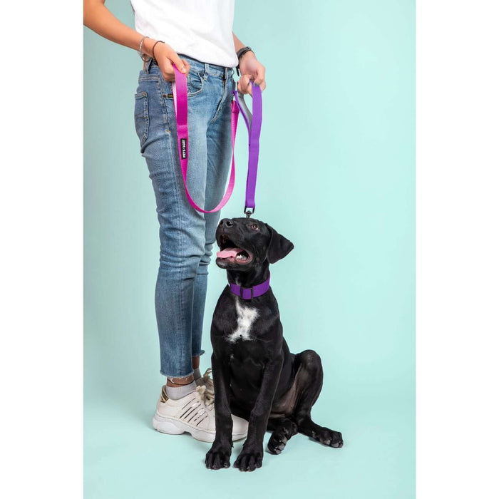 Pets Way Walk Essentials Dual Handle Leash - Fuschia & Amethyst
