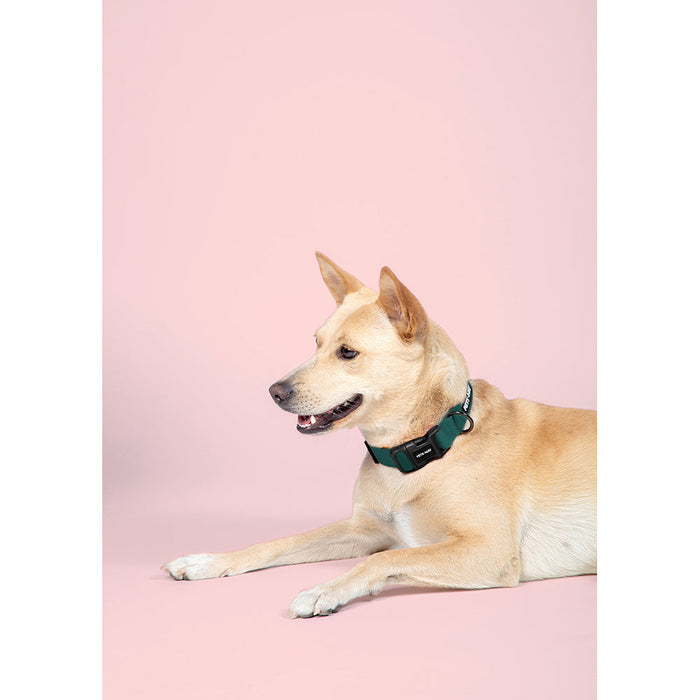 Pets Way Walk Essentials Solid Dog Collar - Fuschia