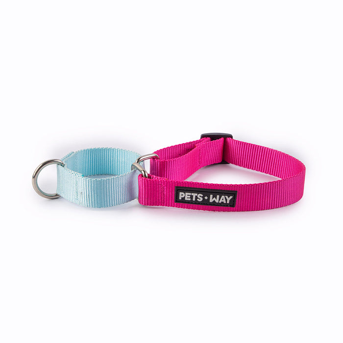 Pets Way Walk Essentials Martingale Collar - Fuschia & Sky