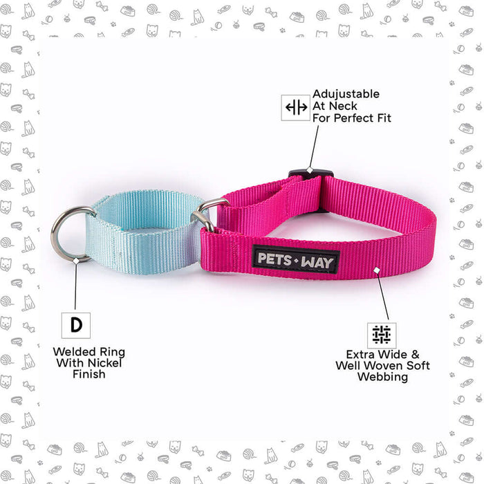 Pets Way Walk Essentials Martingale Collar - Fuschia & Sky