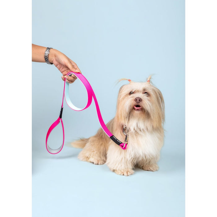 Pets Way Walk Essentials Dual Color Leash - Fuschia & Sky