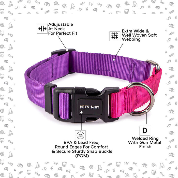 Pets Way Walk Essentials Dual Color Dog Collar - Amethyst & Fuschia