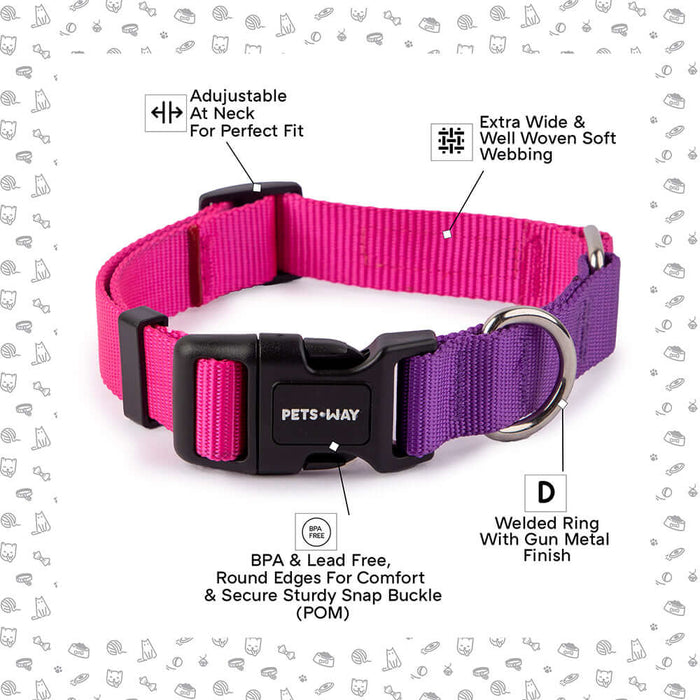 Pets Way Walk Essentials Dual Color Dog Collar - Fuschia & Amethyst