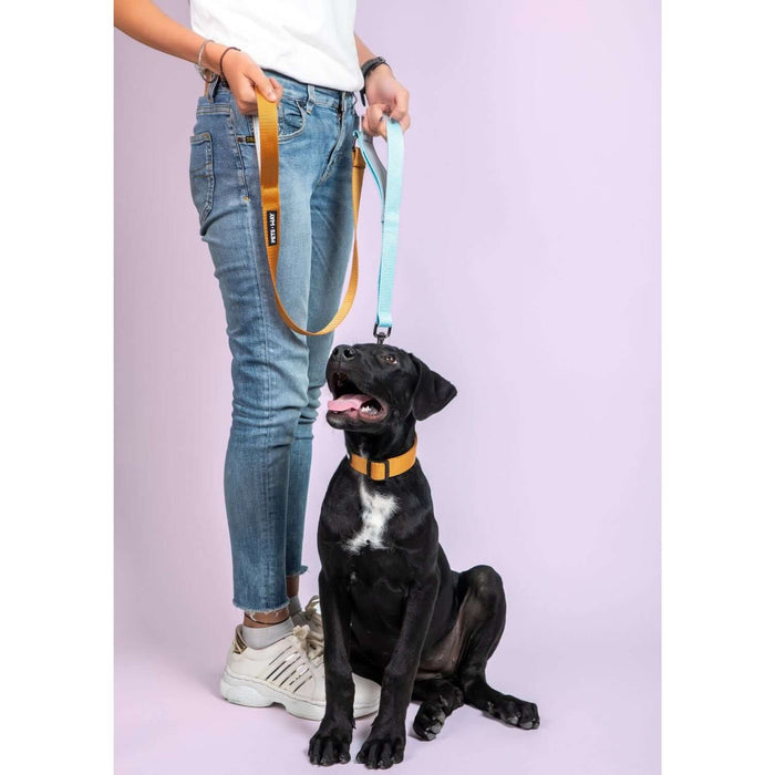 Pets Way Walk Essentials Dual Color Leash - Honey & Sky