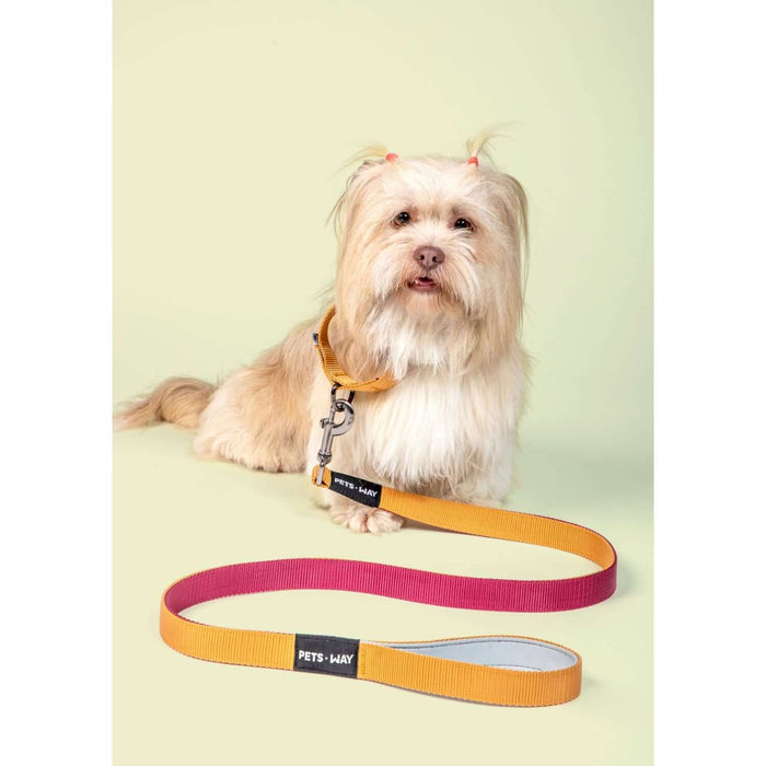 Pets Way Walk Essentials Dual Color Leash -Honey & Wine