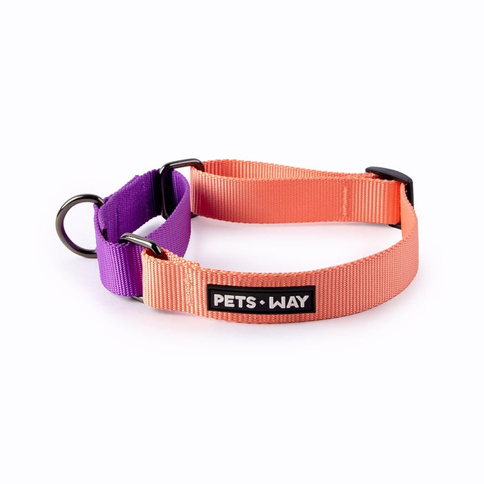 Pets Way Walk Essentials Martingale Collar - Peach & Amethyst