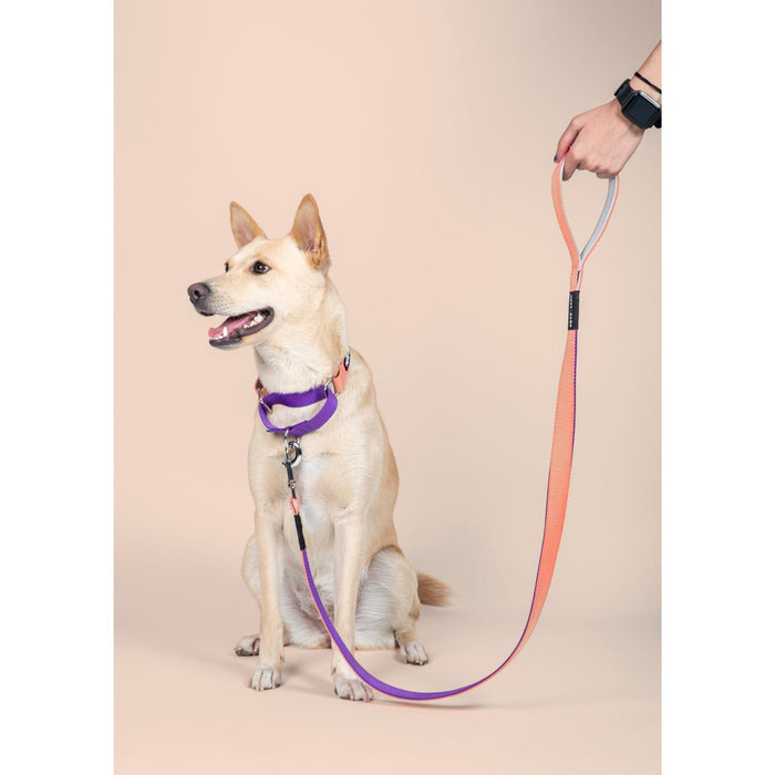 Pets Way Walk Essentials Dual Color Leash - Peach & Amethyst