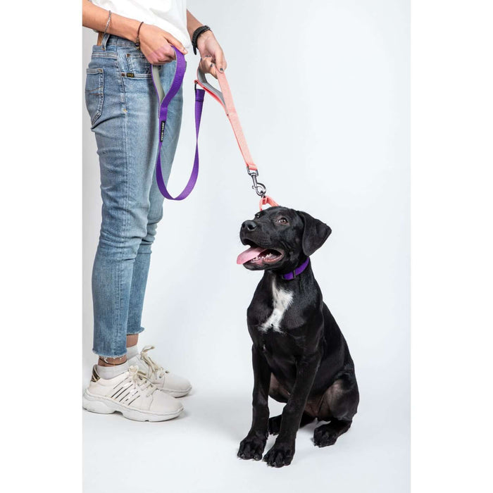 Pets Way Walk Essentials Dual Handle Leash - Peach & Amethyst