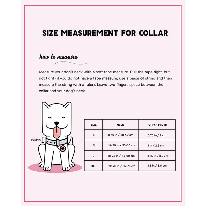 Pets Way Walk Essentials Solid Dog Collar - Peach