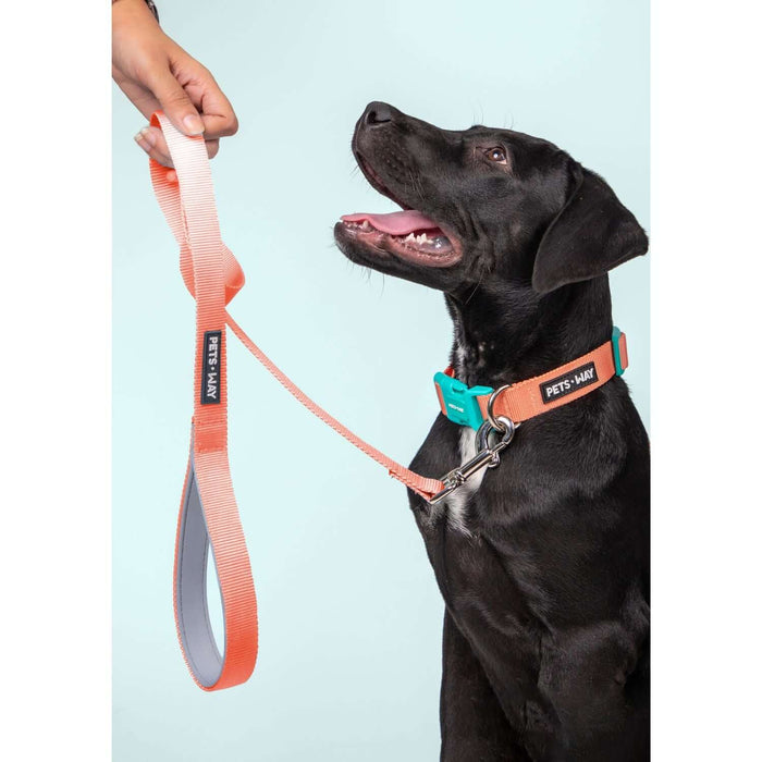 Pets Way Walk Essentials Solid Dog Leash - Peach