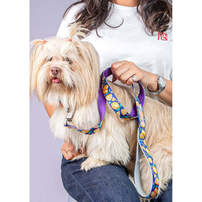 Pets Way Walk Essentials Printed Dog Collar - Autumn