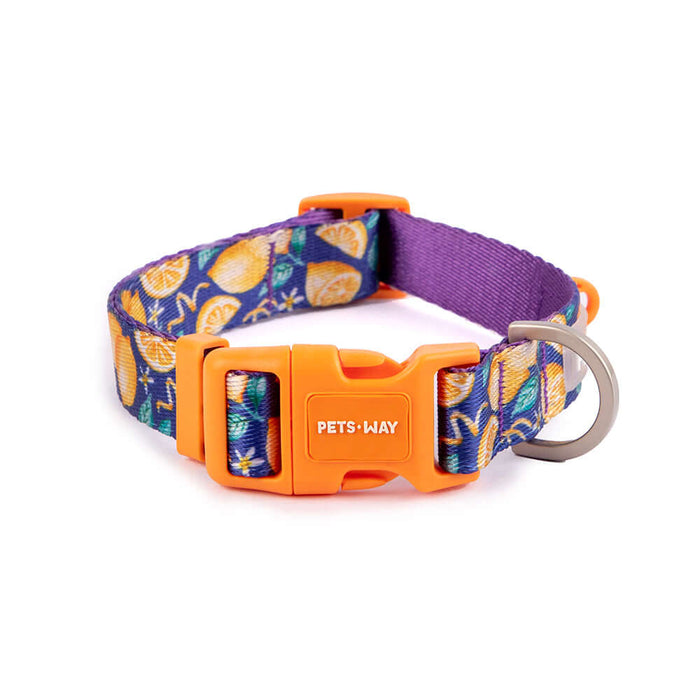 Pets Way Walk Essentials Printed Dog Collar - Autumn