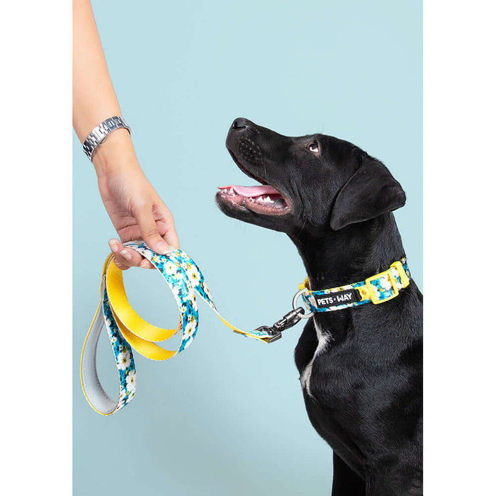 Pets Way Walk Essentials Printed Dog Collar - Blossom
