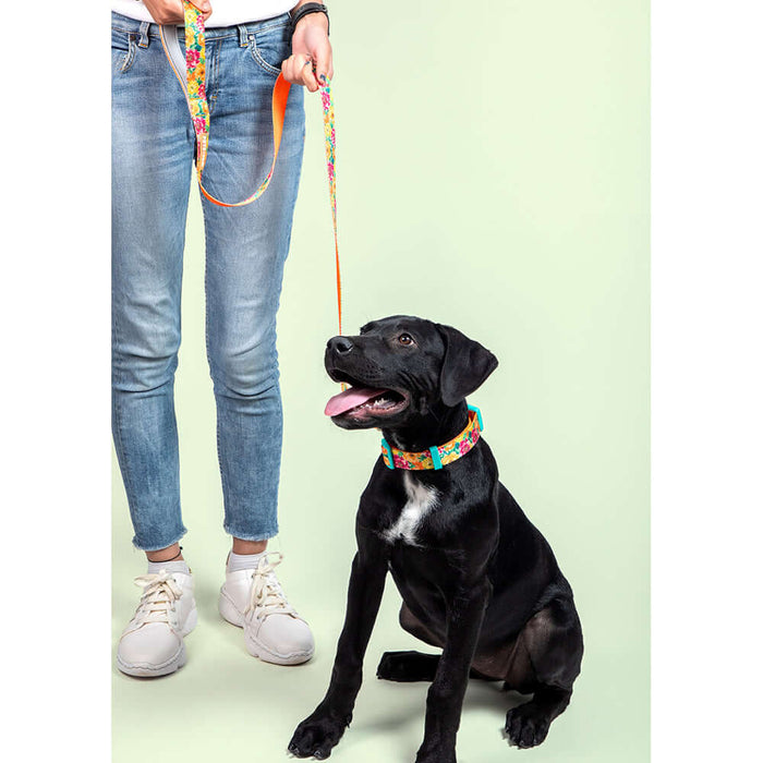 Pets Way Walk Essentials Printed Dog Collar - Spring