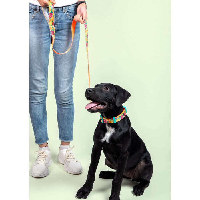 Pets Way Walk Essentials Printed Dog Leash - Spring