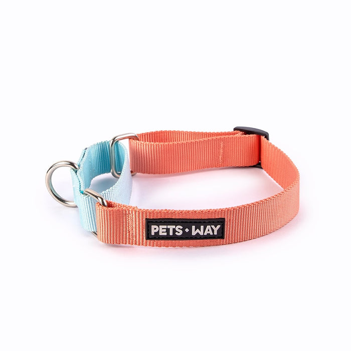 Pets Way Walk Essentials Martingale Collar - Peach & Sky