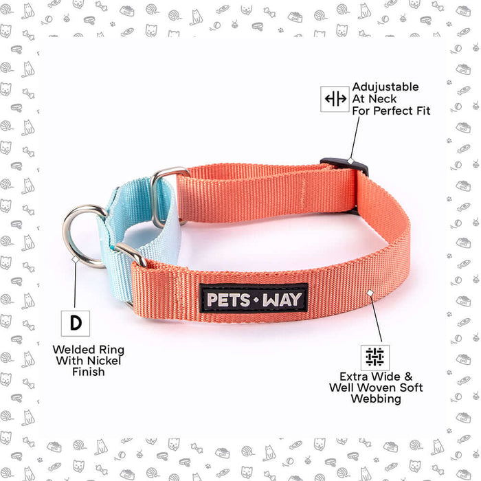 Pets Way Walk Essentials Martingale Collar - Peach & Sky