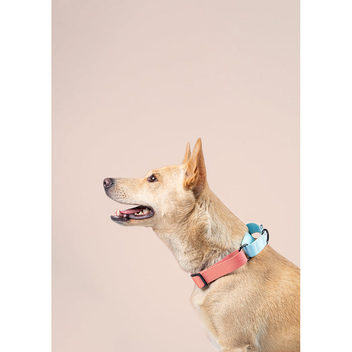 Pets Way Walk Essentials Martingale Collar - Peach & Sky