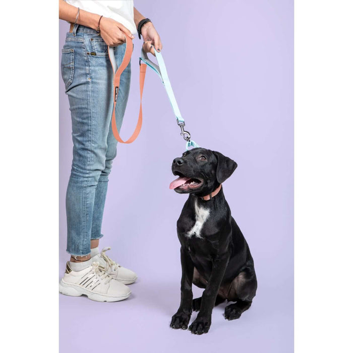 Pets Way Walk Essentials Dual Handle Leash - Peach & Sky