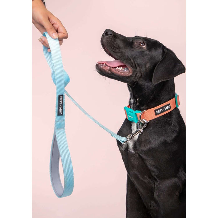 Pets Way Walk Essentials Solid Dog Leash - Sky