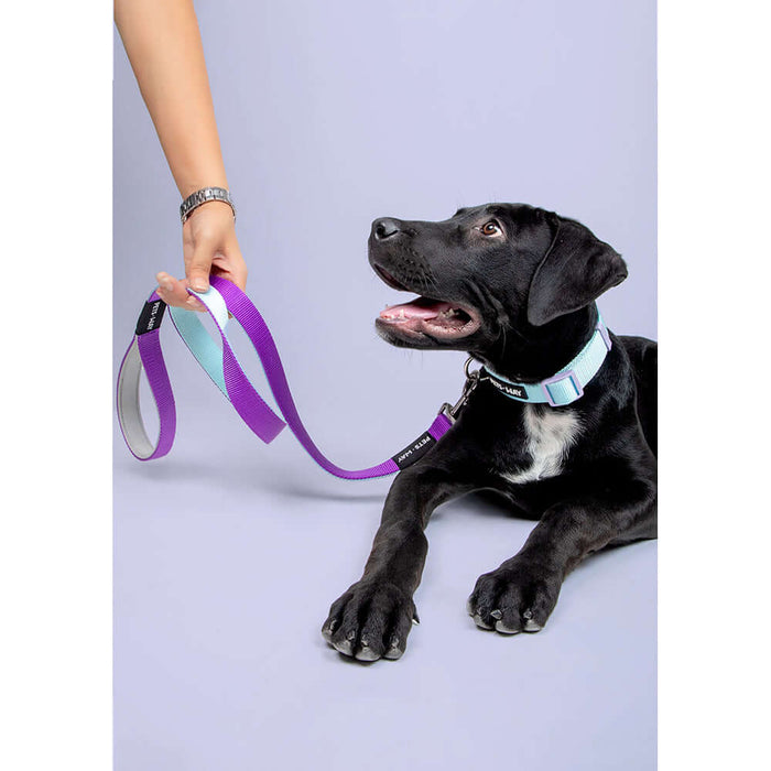 Pets Way Walk Essentials Solid Dog Collar - Sky