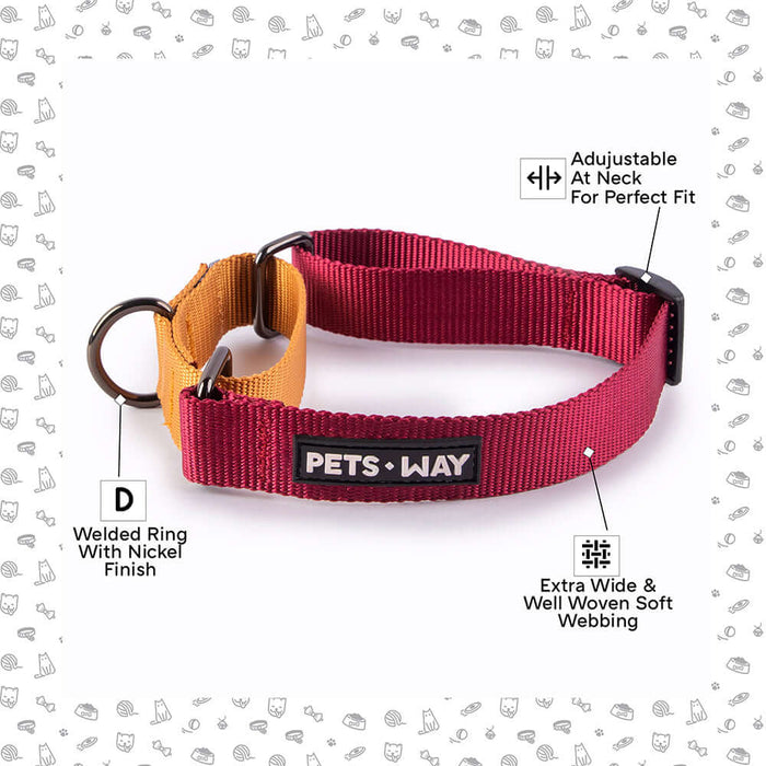 Pets Way Walk Essentials Martingale Collar - Wine & Honey