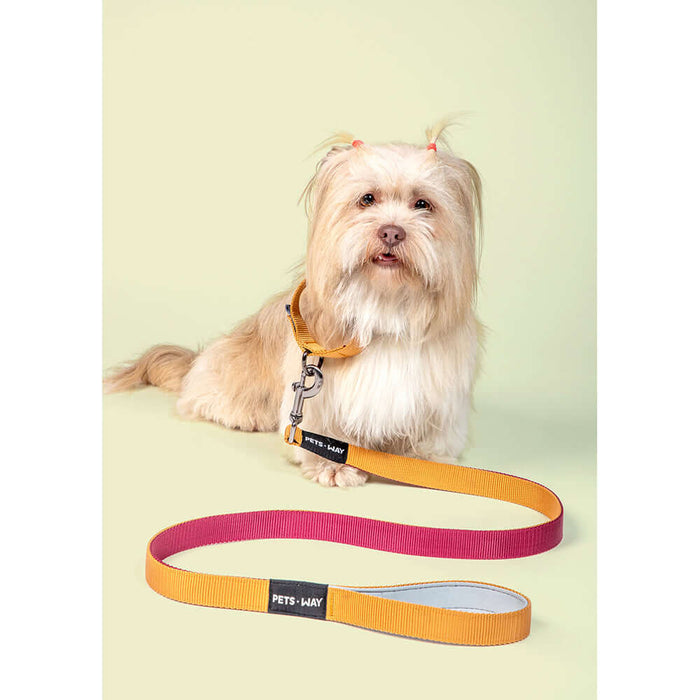 Pets Way Walk Essentials Martingale Collar - Wine & Honey