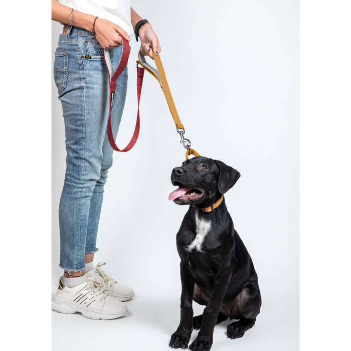 Pets Way Walk Essentials Dual Handle Leash - Wine & Honey