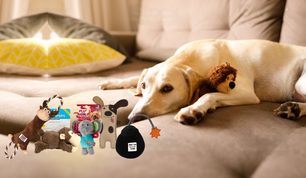 Pet toy store near me hot sale