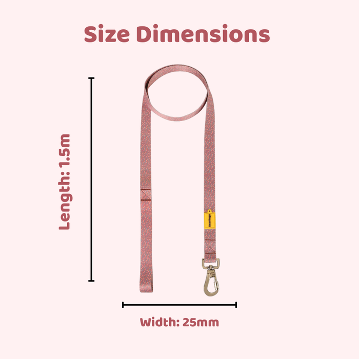 BearHugs 1.5 Meter Printed Dog Leash - Mini Hearts