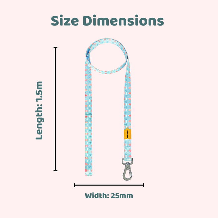 BearHugs 1.5 Meter Printed Dog Leash - Flying Parachute