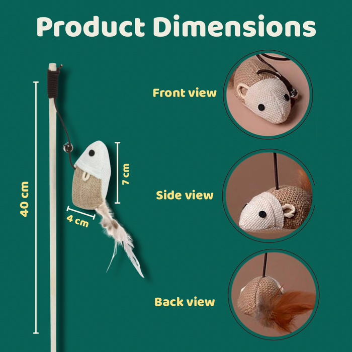 BearHugs Cat Teaser Wand Toy with Mouse