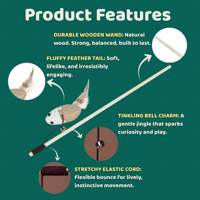 BearHugs Cat Teaser Wand Toy with Mouse