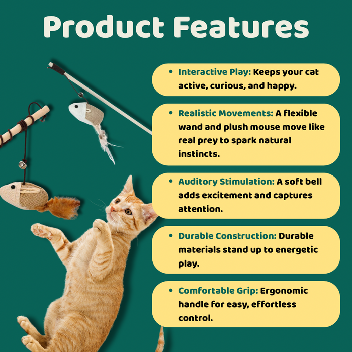 BearHugs Cat Teaser Wand Toy with Mouse