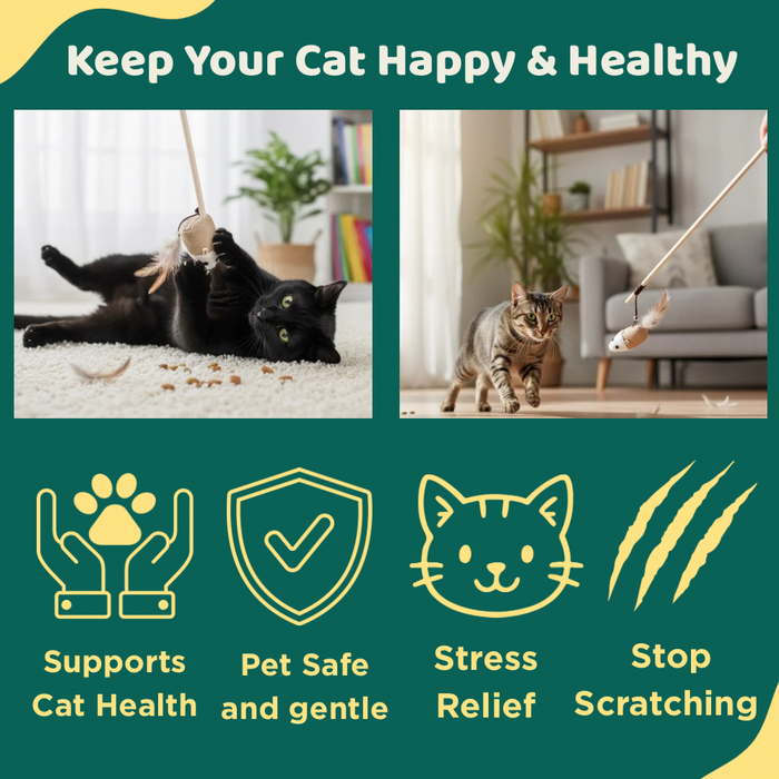 BearHugs Cat Teaser Wand Toy with Mouse