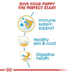 Royal Canin Golden Retriever Puppy Food Dry