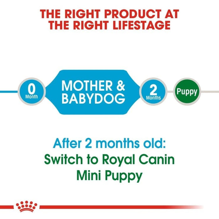 Royal Canin Mini Starter Mother and Babydog Food Dry