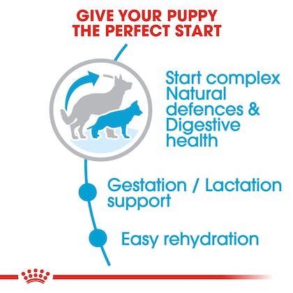 Royal Canin Maxi Starter Mother and Baby Dog Food Dry