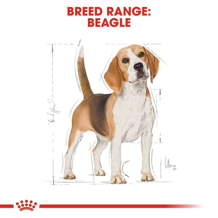 Royal Canin Beagle Adult Dog Food Dry